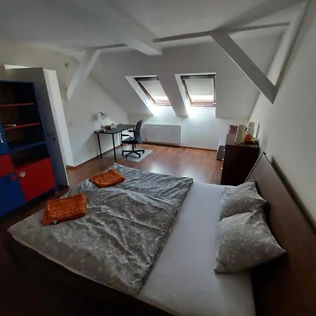 Queen Zita 130 M2 Near Chain Bridge Budapest