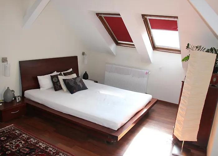 Queen Zita 130 M2 Near Chain Bridge 公寓 布达佩斯